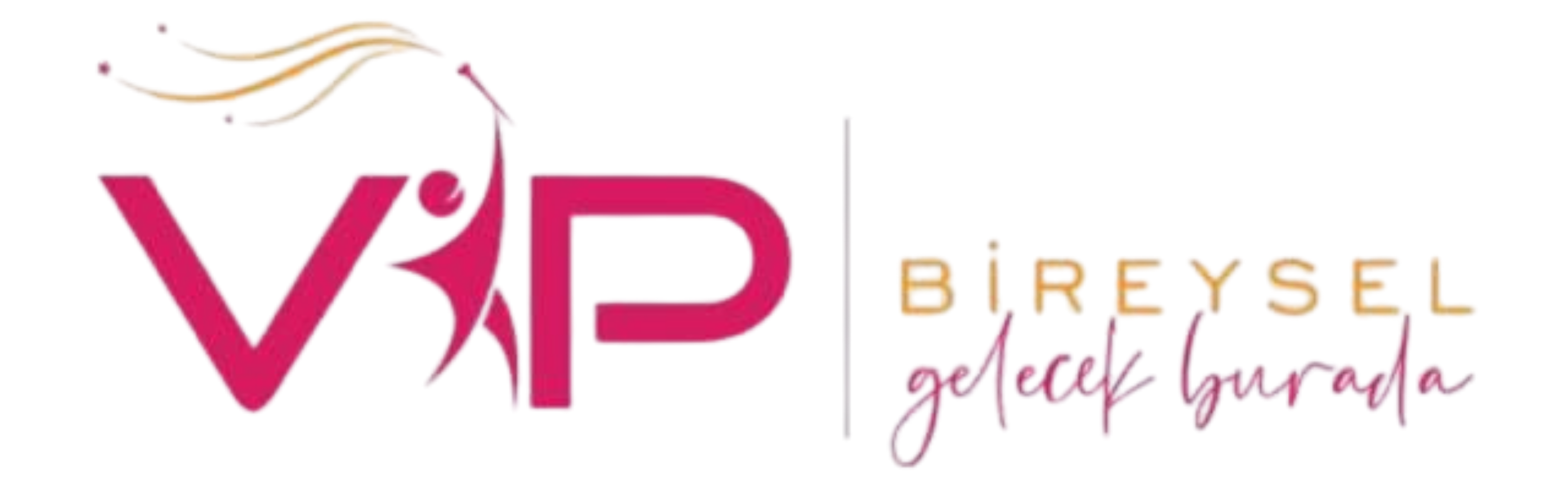 VİP Bireysel Logo